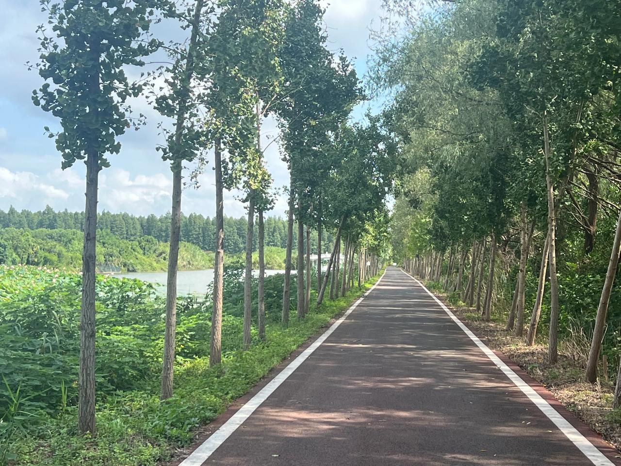 上课是很耗费气血的一件事情。

年轻时，一站一个上午，声音洪亮，一口水都不用喝，