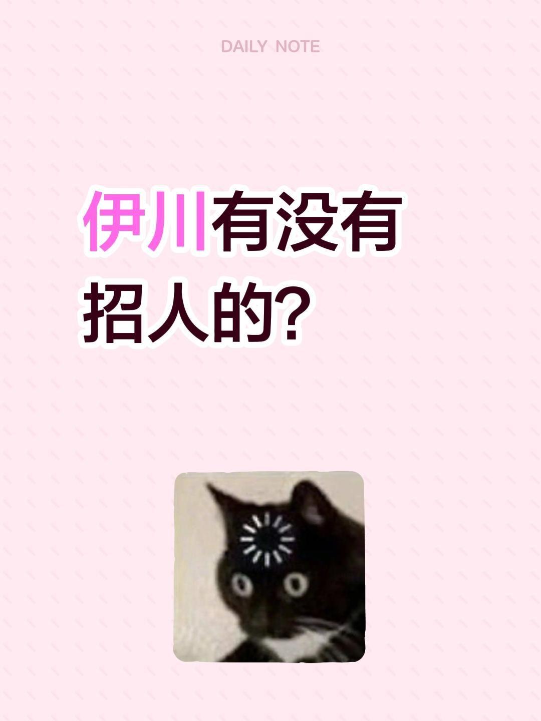 伊川有没有招人的？