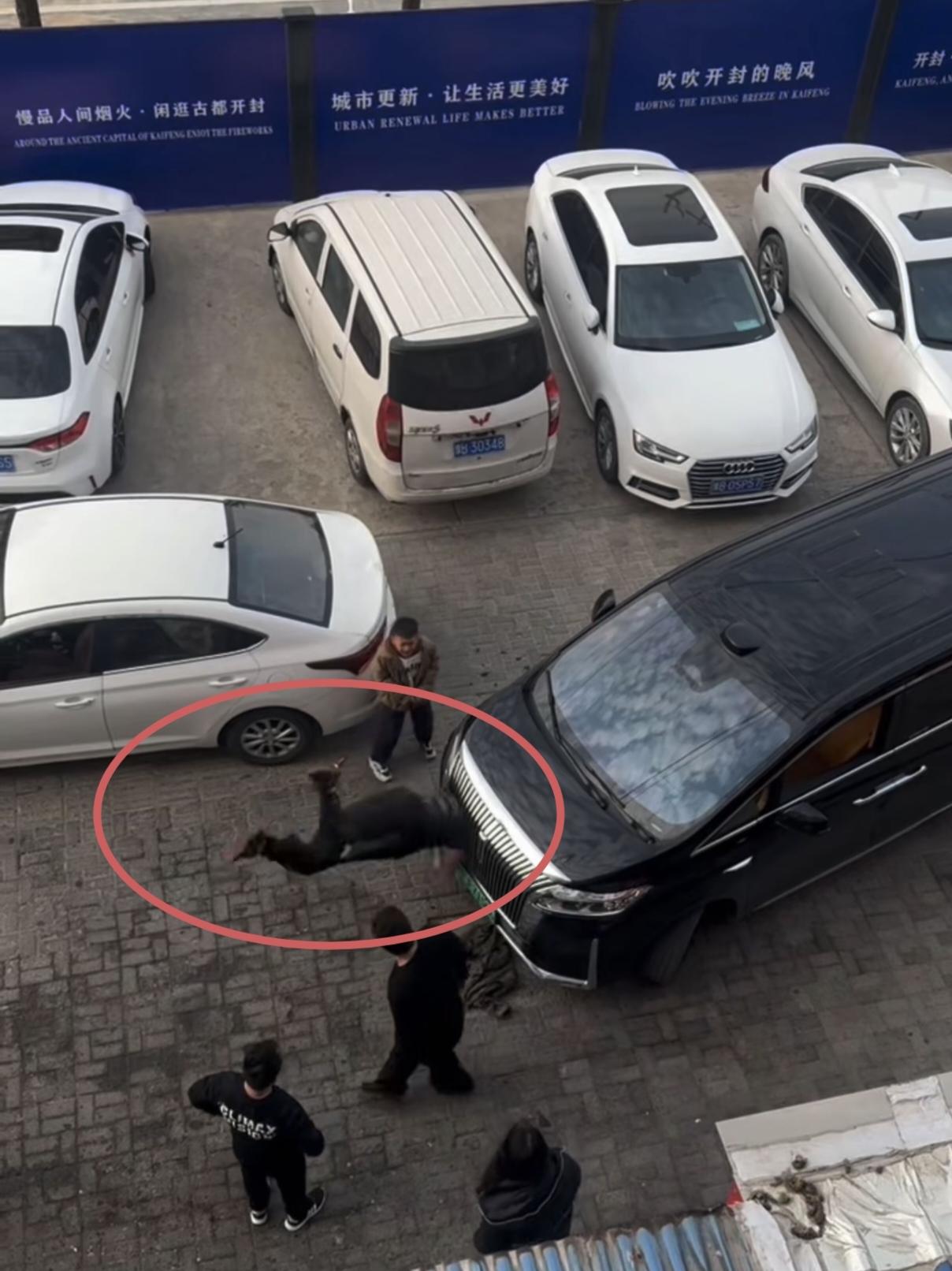 疼不疼？男子和黑车不知道什么矛盾，嘴里一边骂着一边用头撞黑车，车主孩子都吓哭了，