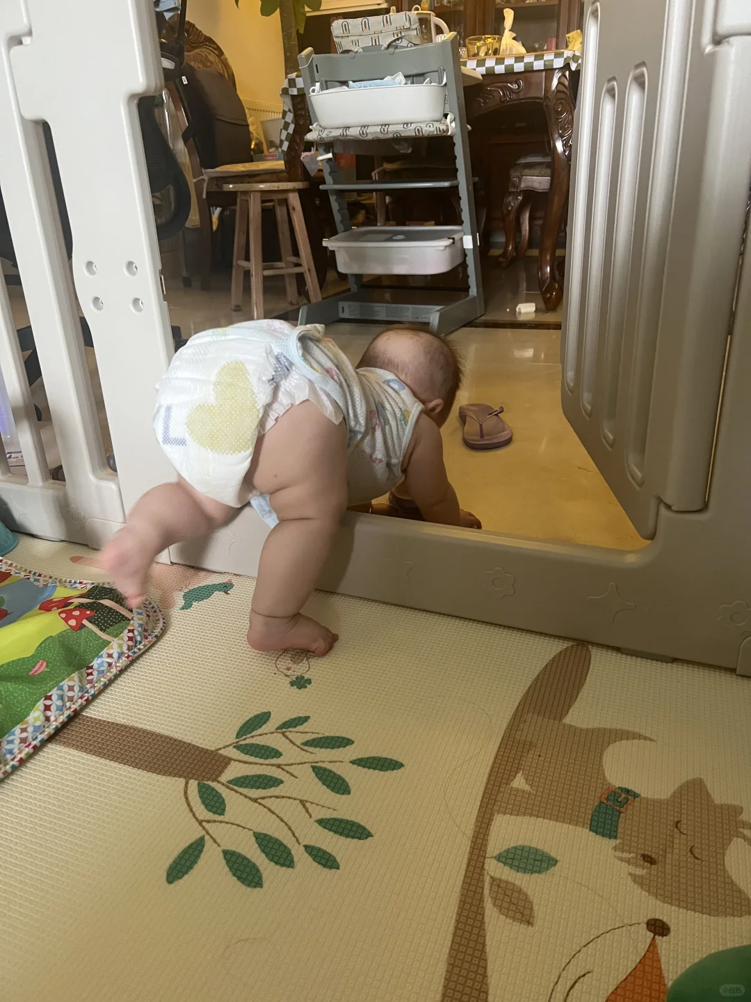 丝滑越狱，这大运动绝了👍