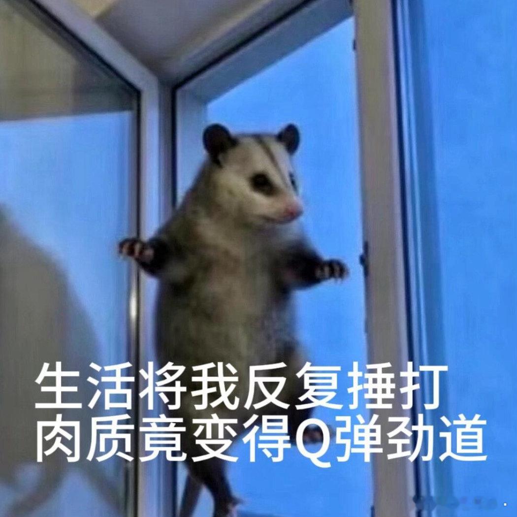 夏至养心。以前我根本不知道我为什么苦夏，很多年前我自己记录：“我最近只想吃牛筋面