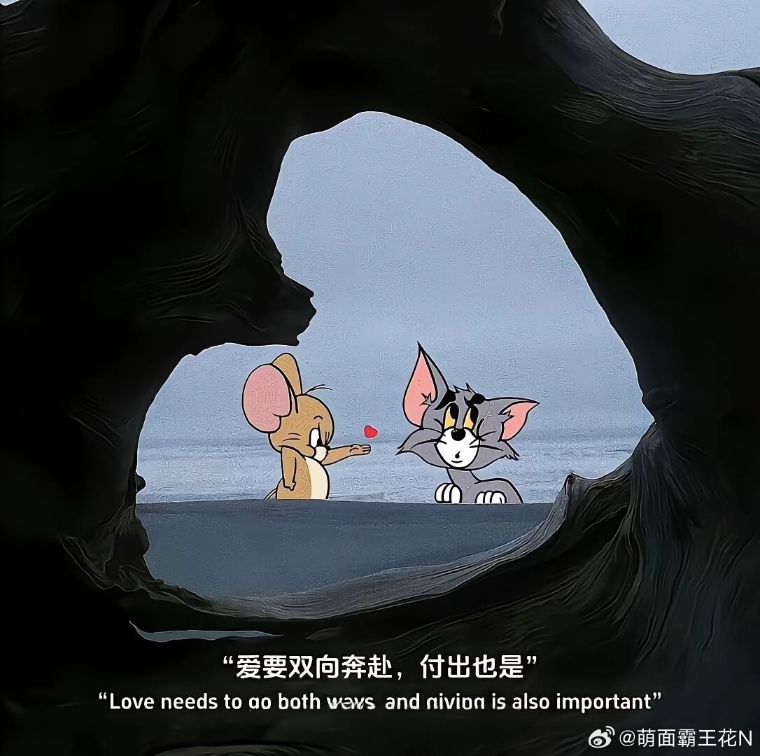 阳光信用阳光信用 每日一善 星空下的篝火噼啪作响，火星窜向夜空又熄灭，像极了我们