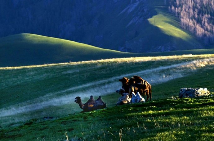 新疆好地方·天山看牧场[赞] ​ ​​​