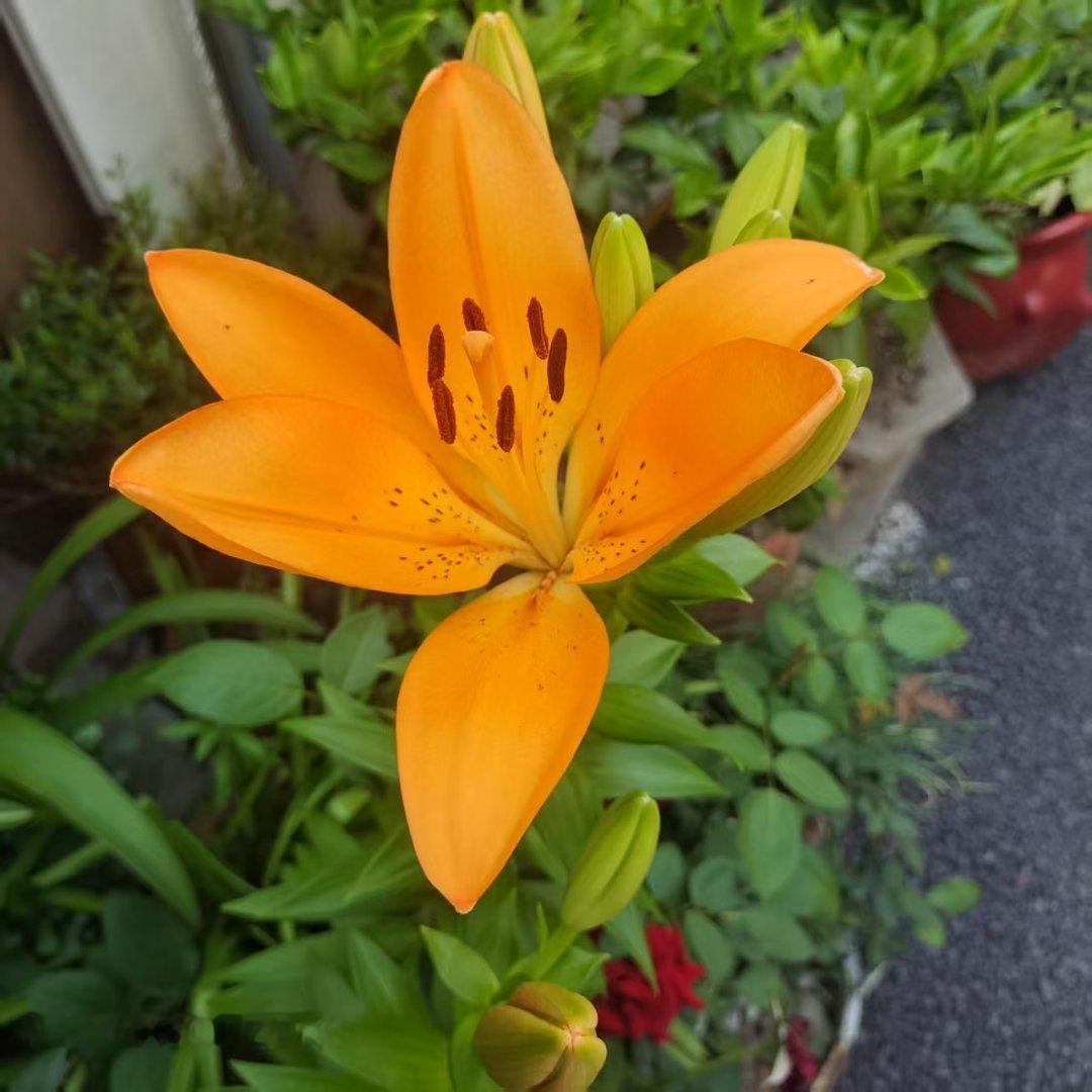 珍惜每一个无法重来的现在。 