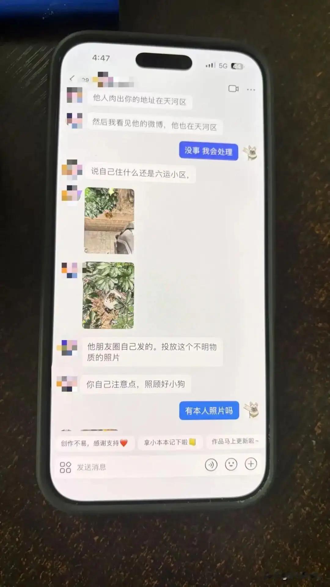 “小心，被盯上了！”广东广州，一男子花2000元，买了一条法国斗牛犬，小狗5个月