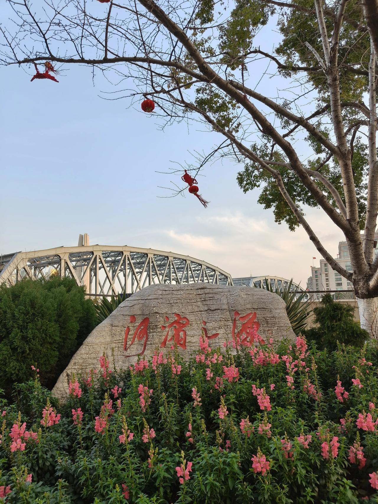 你知道紫罗兰花🌸🈶几种颜色吗？
那为啥都叫紫罗兰呢？
其实我也不清楚~[呲牙