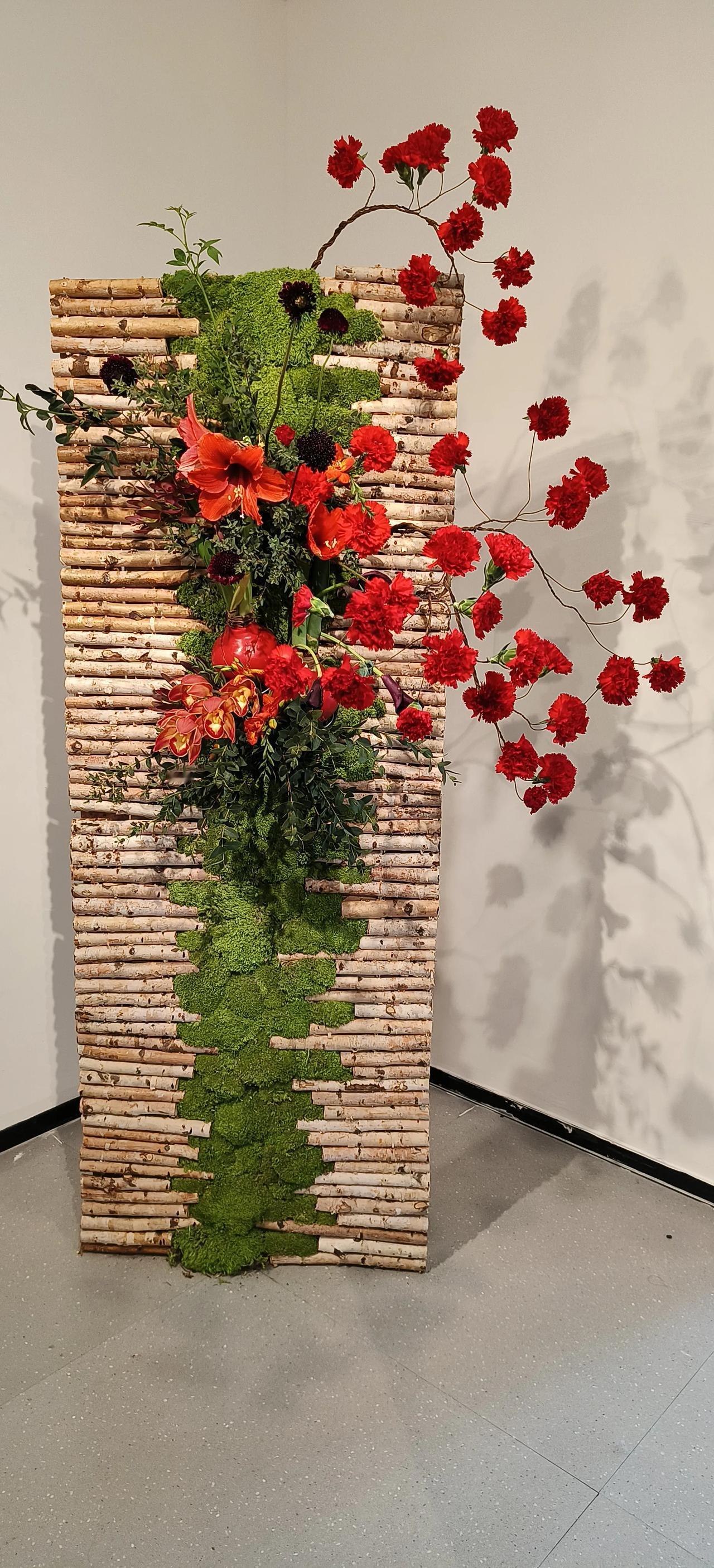 花-美丽的鲜花发现现在没有别的爱好，除了研究孩子长高，调脾胃，提升专注力，就是赏