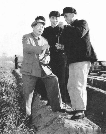 1959年4月13日下午，毛泽东听取小麦管理情况介绍。