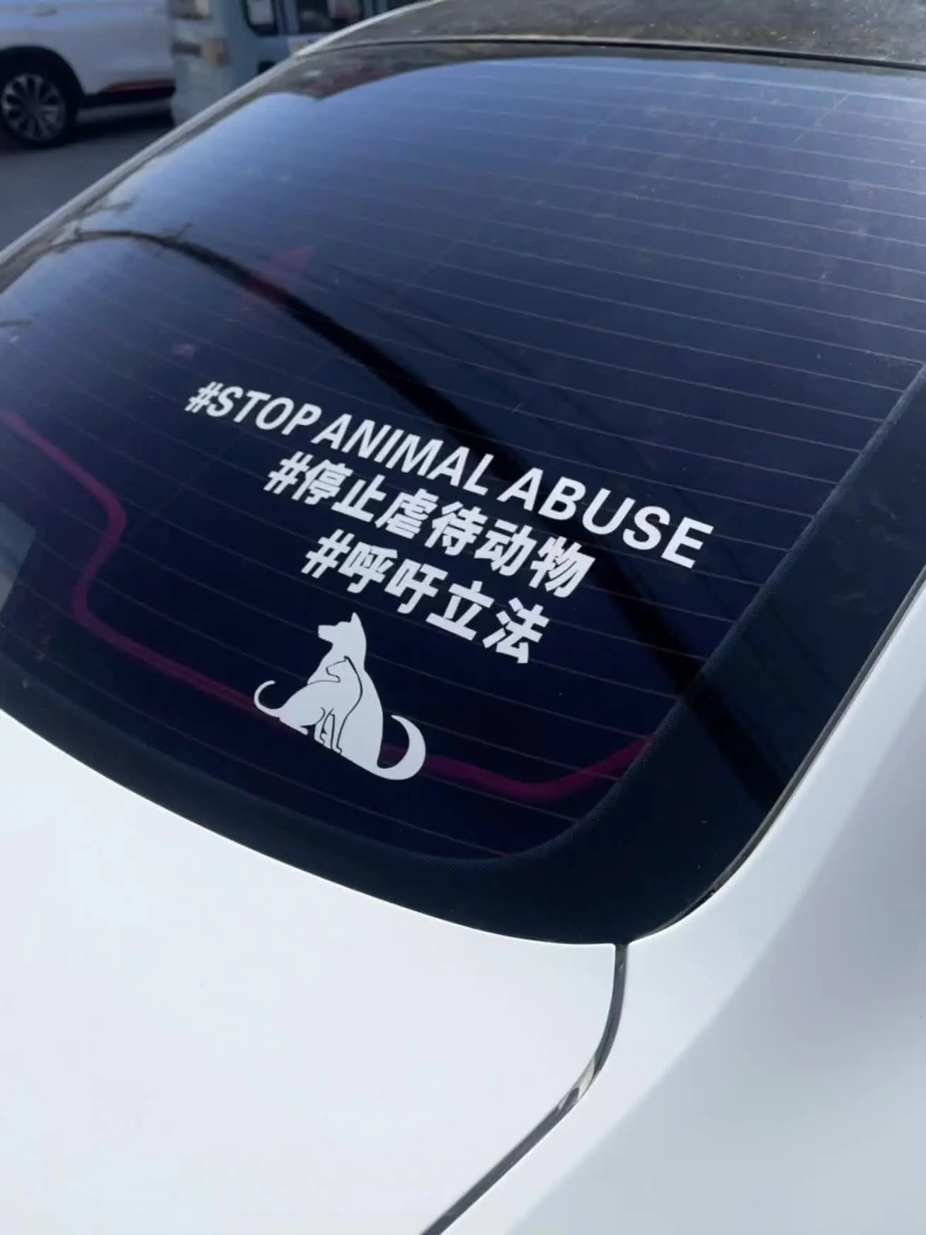 地球不仅仅属于人类
