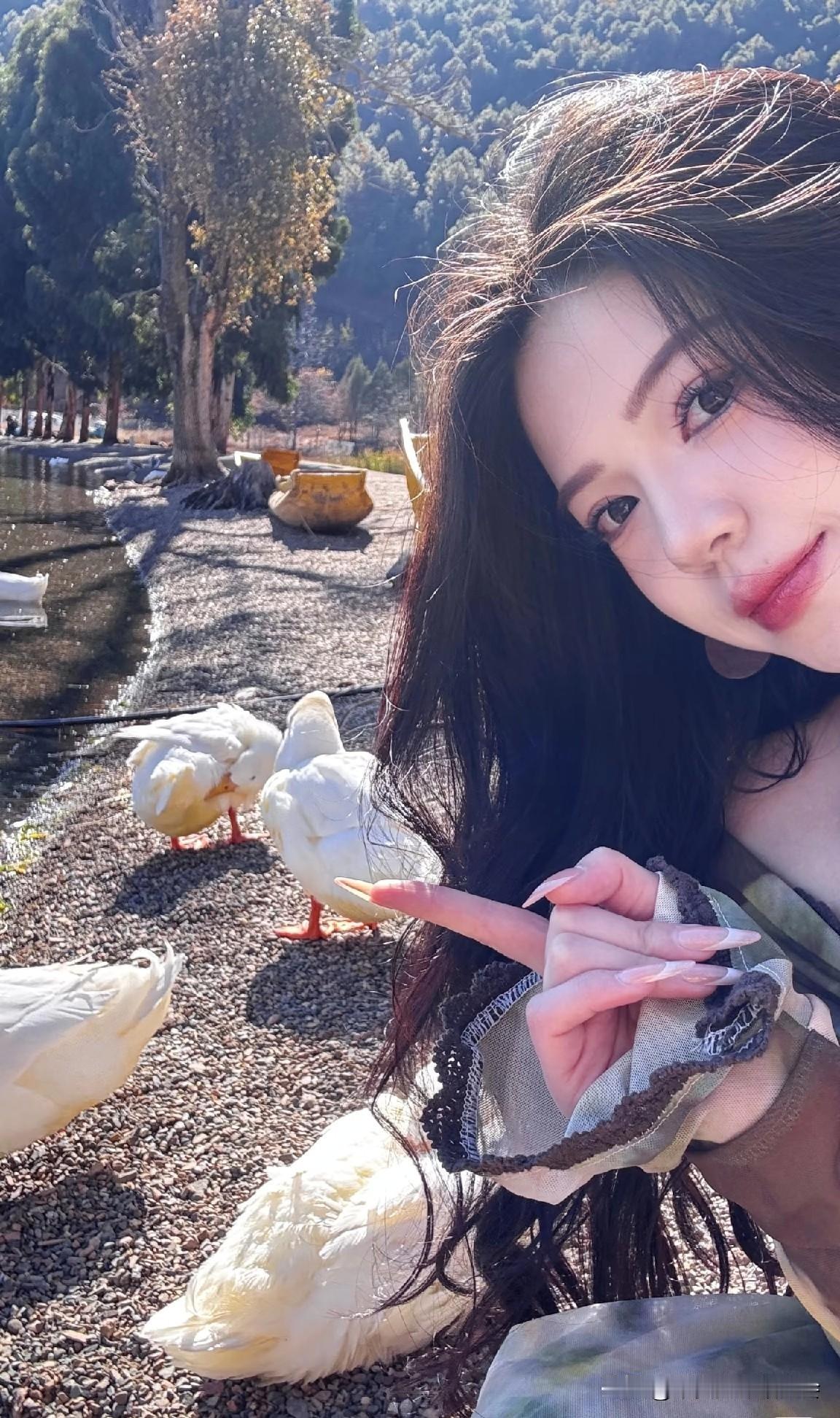 是鹅？ 还是鸭？