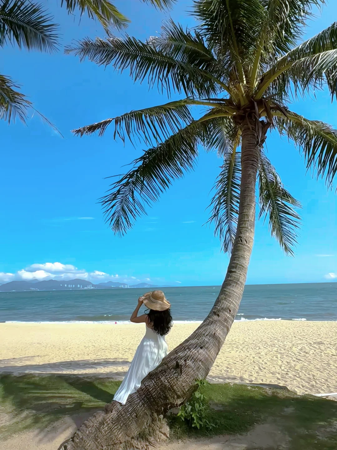 不在三亚，就在惠州小径湾🌴歪脖子树