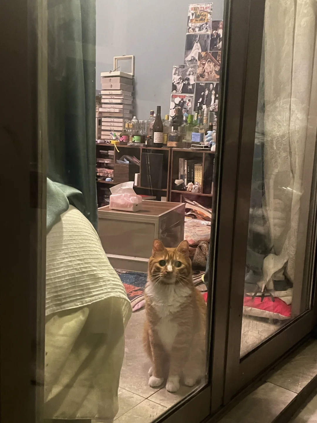小猫困惑