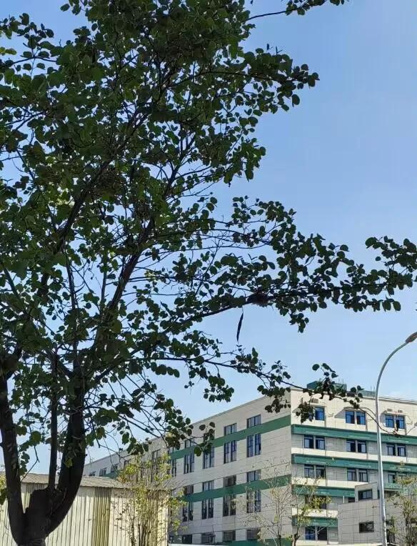 我的搭子很喜欢打探我的生活
我的饭搭子很喜欢问我 她不在的时候我是不是一个人 会