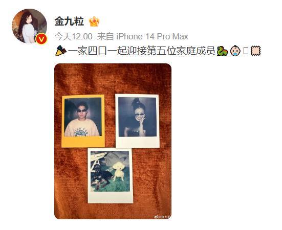 #金靖 迎接第五位家庭成员#  搭配龙和宝宝的表情，疑似官宣怀孕。恭喜恭喜[打c