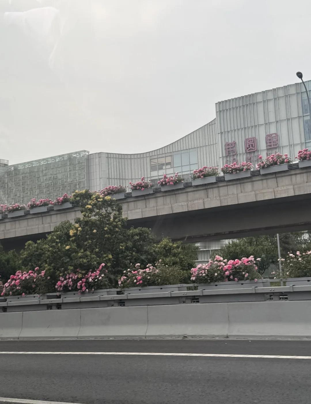 平和一些