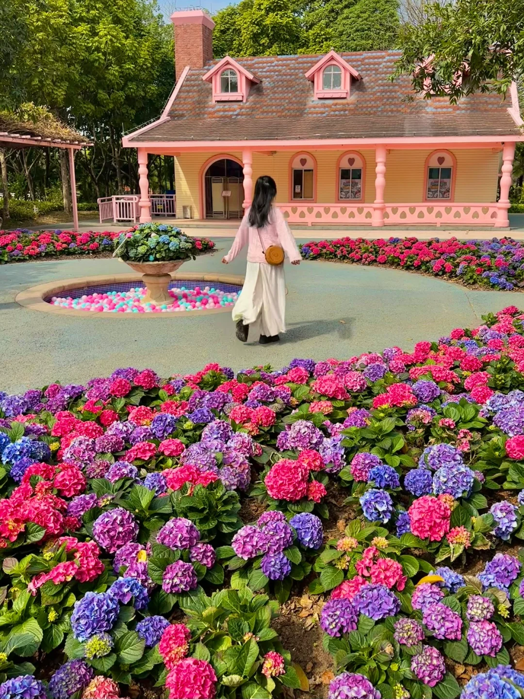 2.13实拍📸广州绣球花免费看💐地铁直达