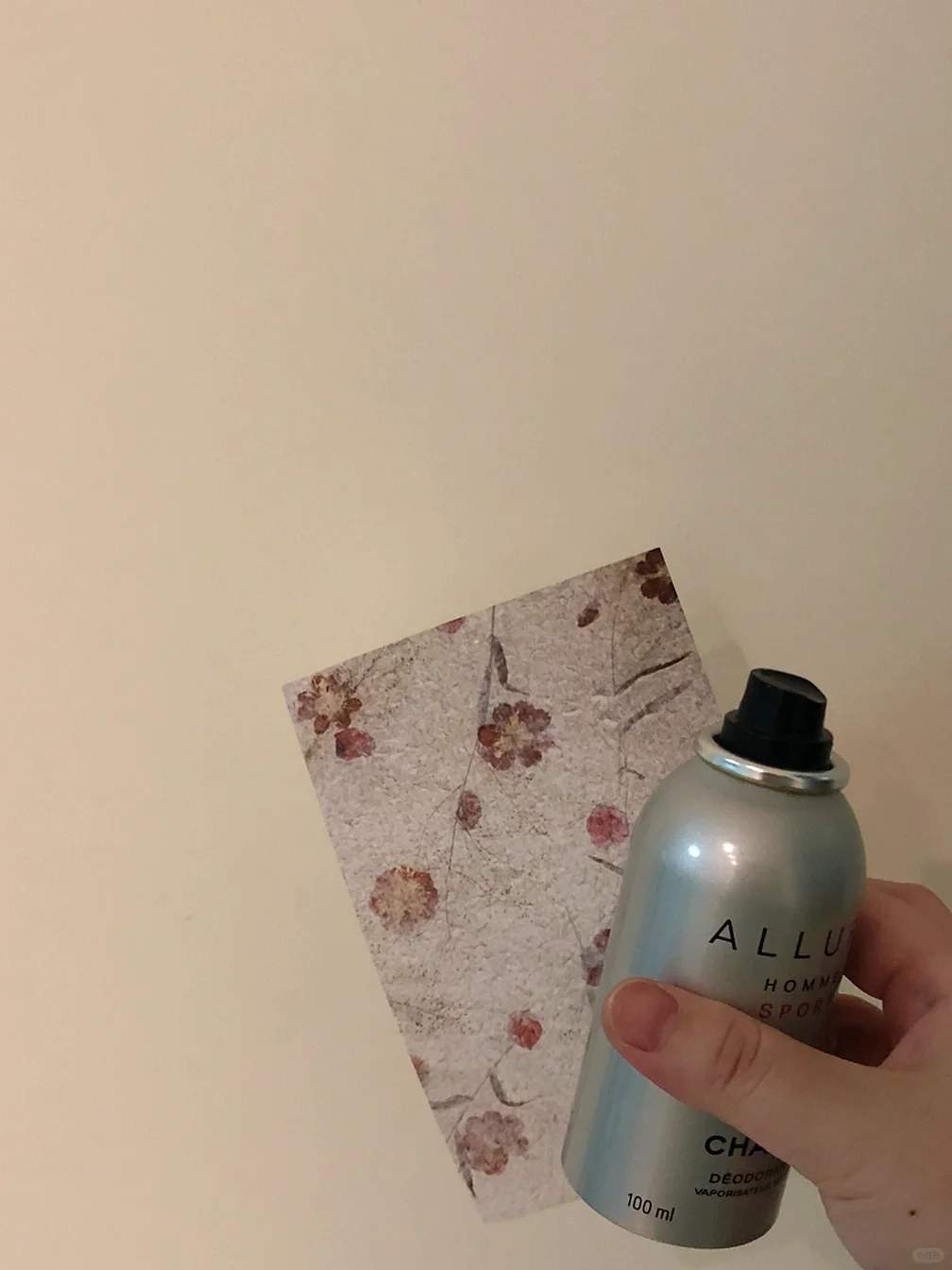 有钱女生都是把生活过得很丰盛的人