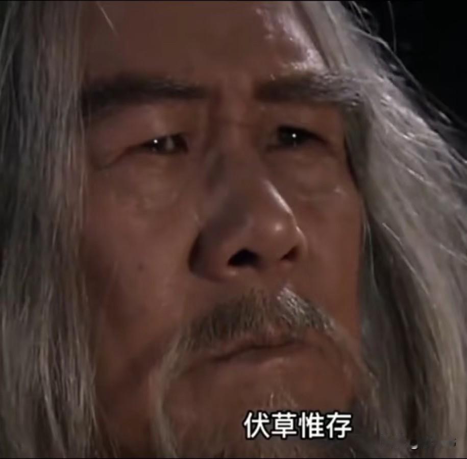 老甘龙：历史与戏剧之间的秦国权臣

大殿之上，白发苍苍的老臣缓缓起身，面对雄心勃