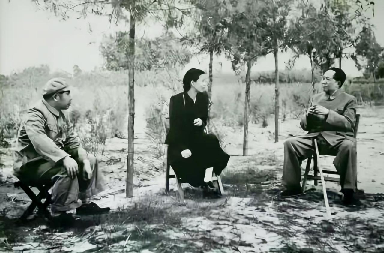 毛主席为什么这么钟爱浙江、钟爱杭州呢？不仅仅是因为风景秀丽。1953年12月28