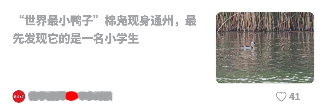 wow，京爷又要获奖了