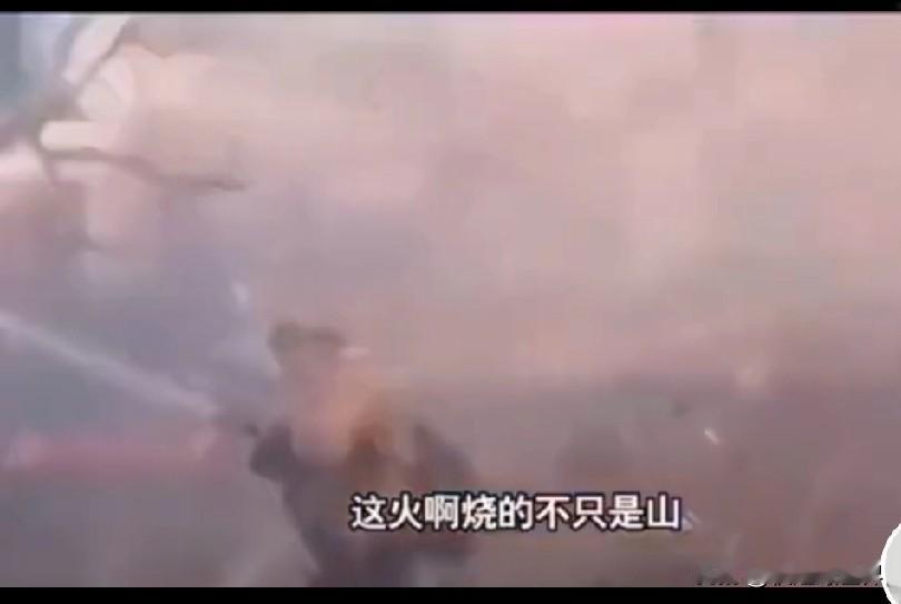 山火失控！以色列宣布紧急状态，紧急向全球求援
 
中东再遇极端干旱，以色列耶路撒