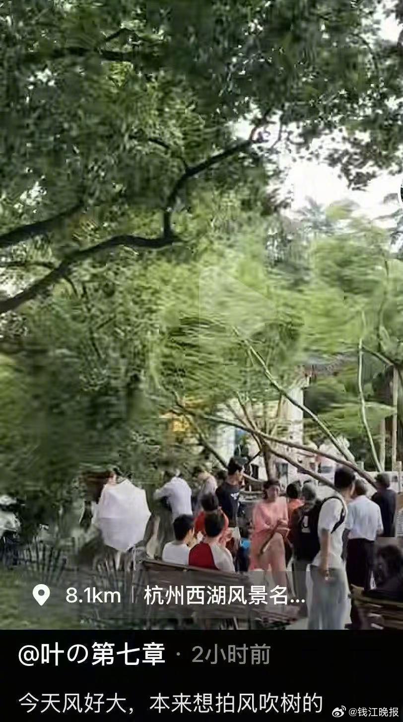 【#浙江暴雨车轮战开打#】明天（20日），中考大幕拉开。浙北和浙中西仍是大雨暴雨