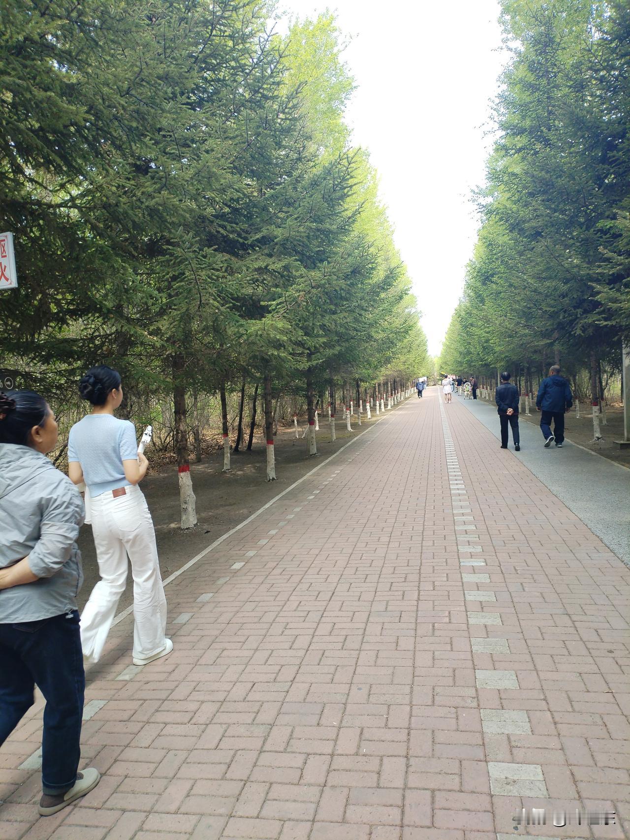 AI生成文章会不会取代人类作者，我觉得不会。
    优秀的文章，取材于生活，提