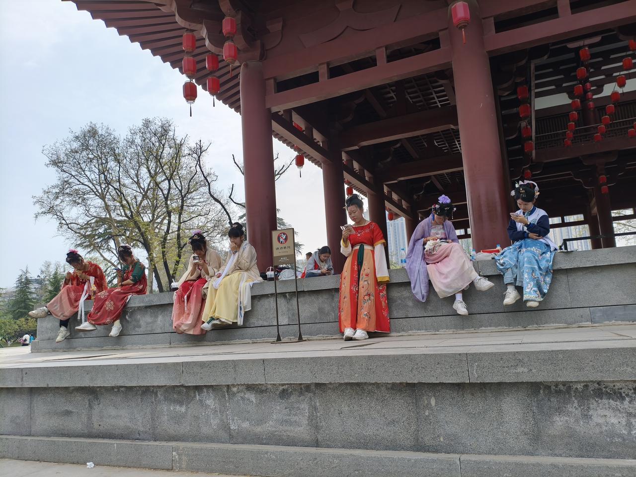 兴庆宫里的宫女们都出来玩手机了！