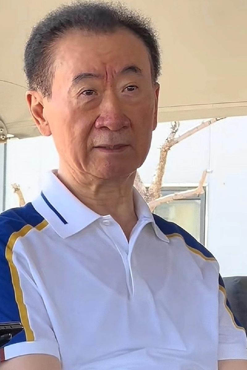 王健林被限制高消费了，我同事陈姐说：以后在绿皮火车上能偶遇老王了。
王健林这次被