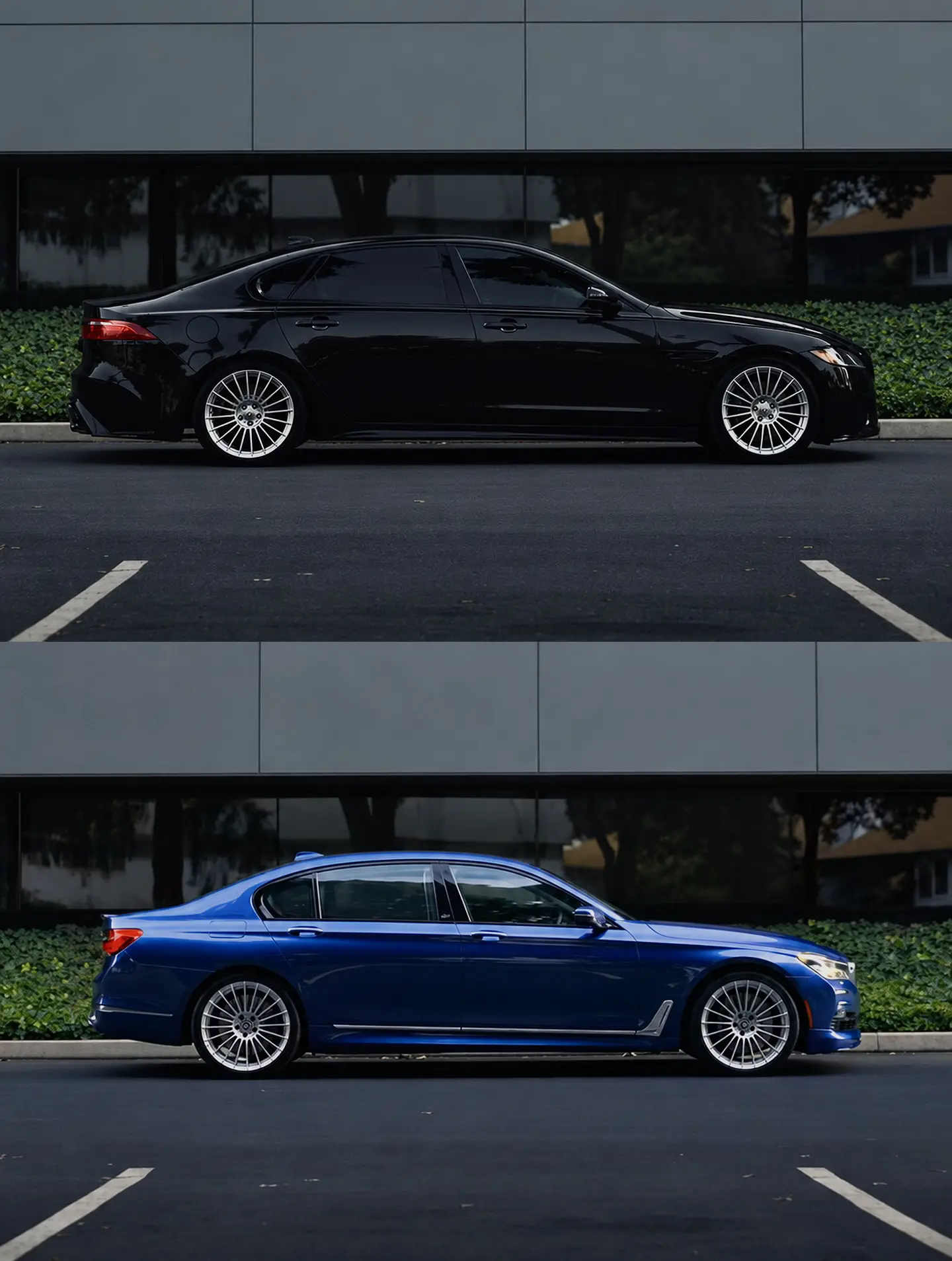 Alpina BMW VS Jaguar.阿尔宾娜：🐆与🐴😜