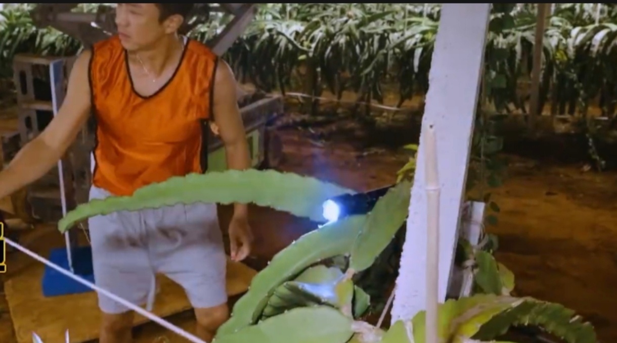 邓超射向鹿晗的回旋镖最后扎到自己邓超鹿晗凑一起就是负责搞笑，两人同组上一秒邓超笑