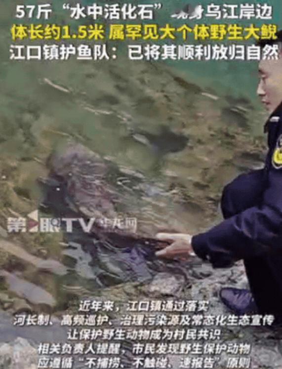 “幸亏发现及时！”重庆一村民干活时，突然发现石头缝有动静，他起初以为是“辣条”，