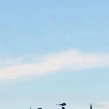 很多焦虑，都来源于想太多、做太少。总预判最坏的结果，提前给自己施压，可绝大多数担