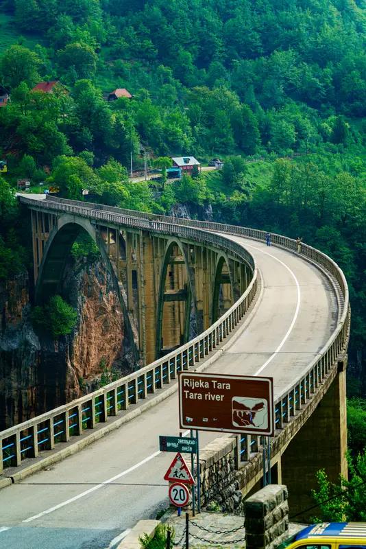 中塞友谊那可是有着深厚的发展历程。从历史上看，塞尔维亚前身南斯拉夫就和中国保持着