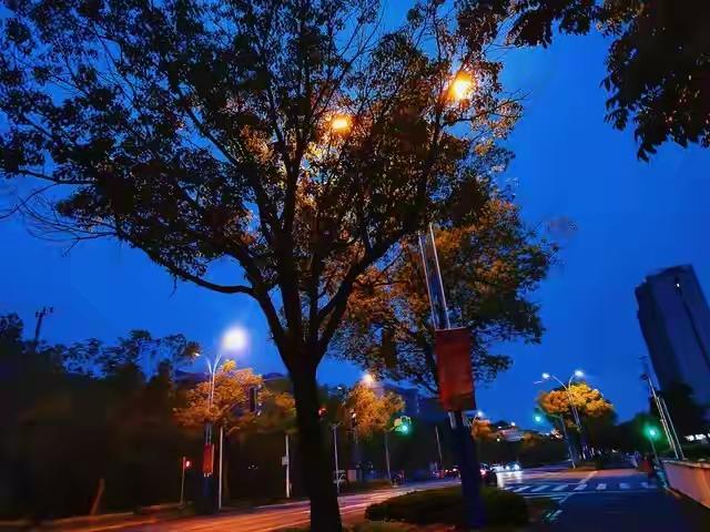 人到中年，活成自己的屋檐
人到中年，才惊觉人生本无避风港，所有风雨，终要自己挡。