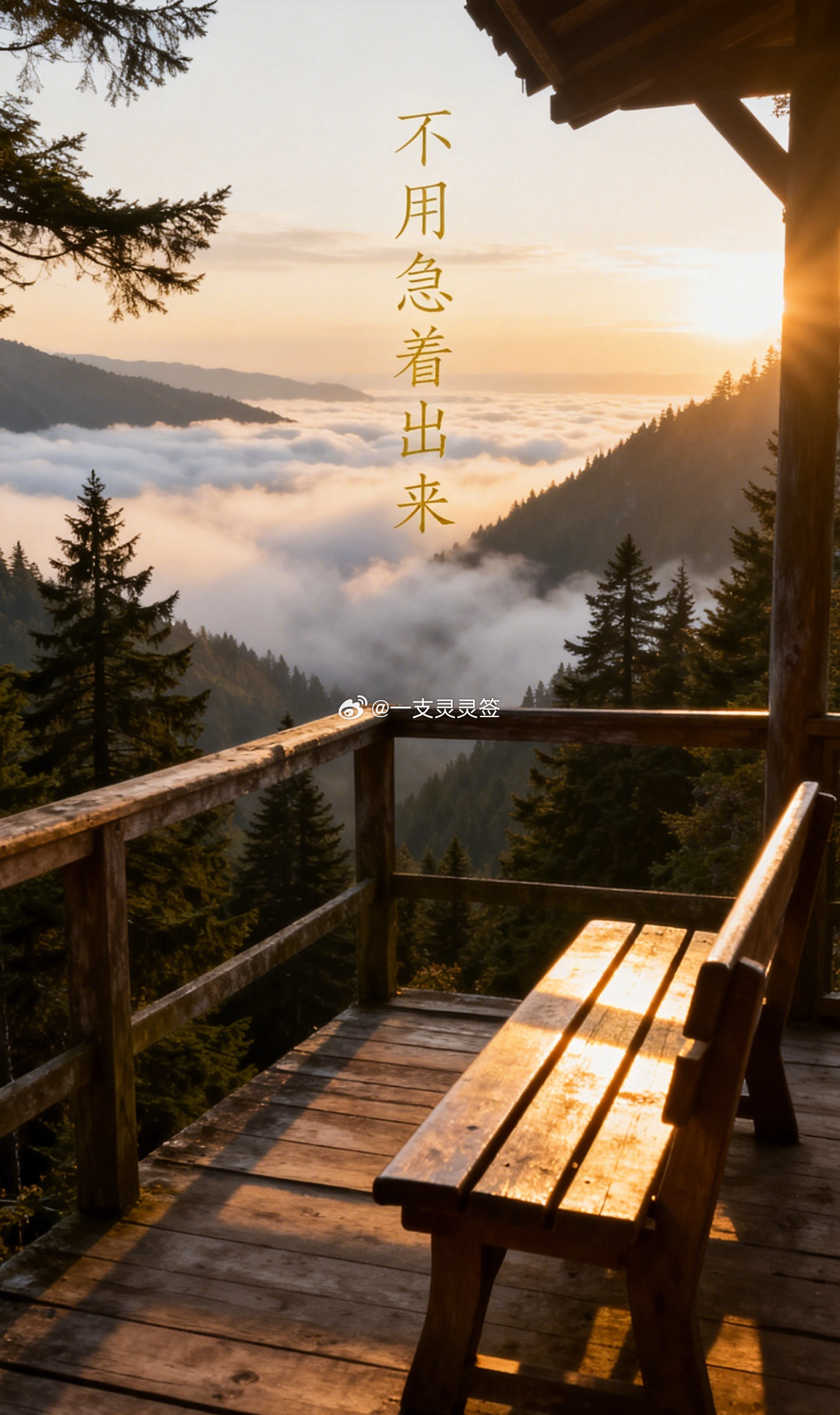 人最难摆脱的有时不是过去，而是过去训练出的反应。以前开口总被否定，后来遇见愿意听