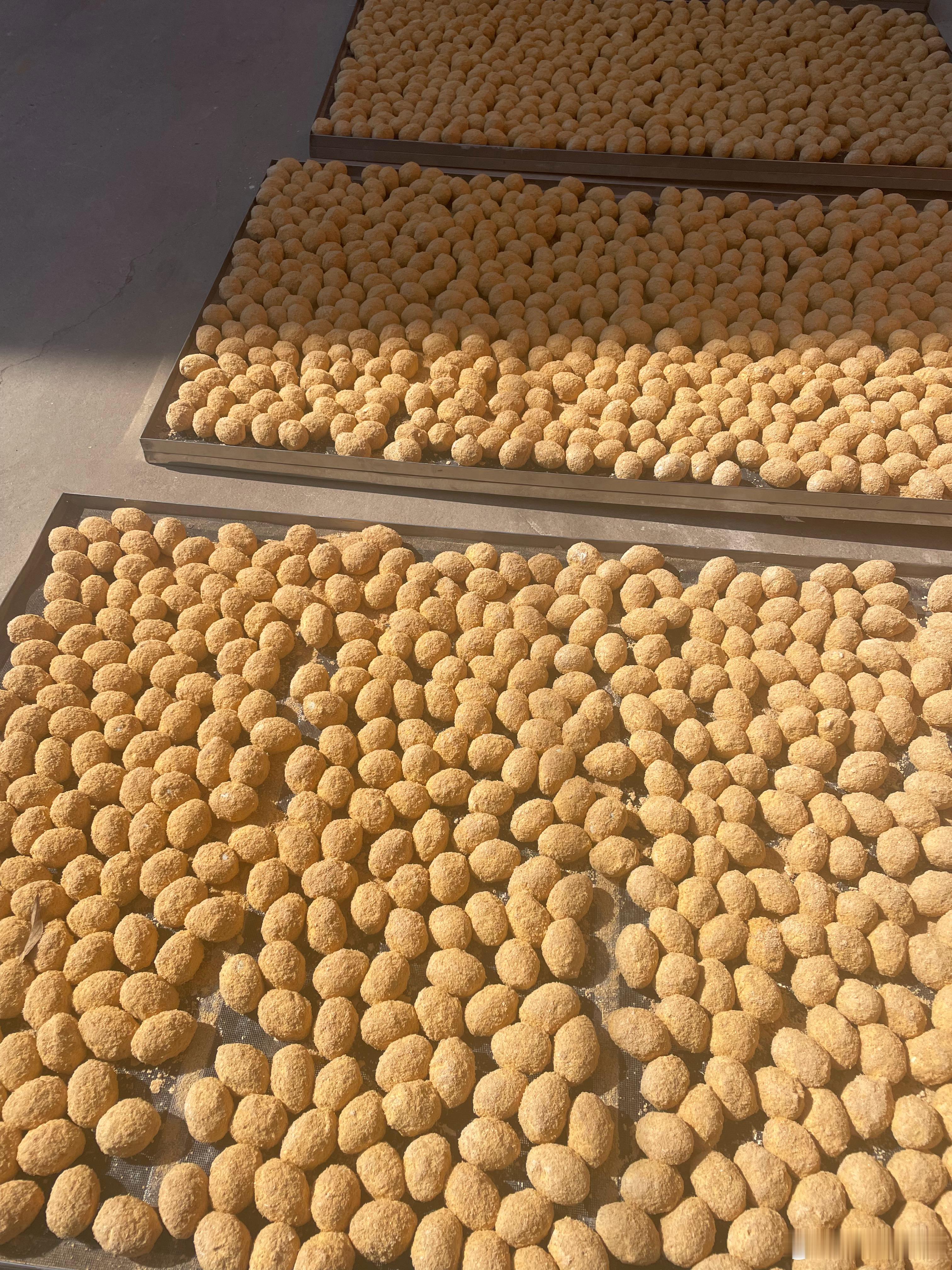 享受午后阳光的松花蛋 