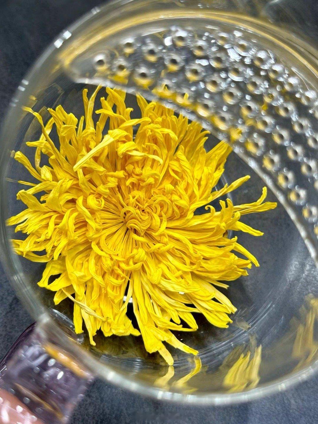 夏日消暑必备金丝皇菊，汤色透亮清浅，入口清甜温润，自带淡雅菊香。日常饮用清热降火