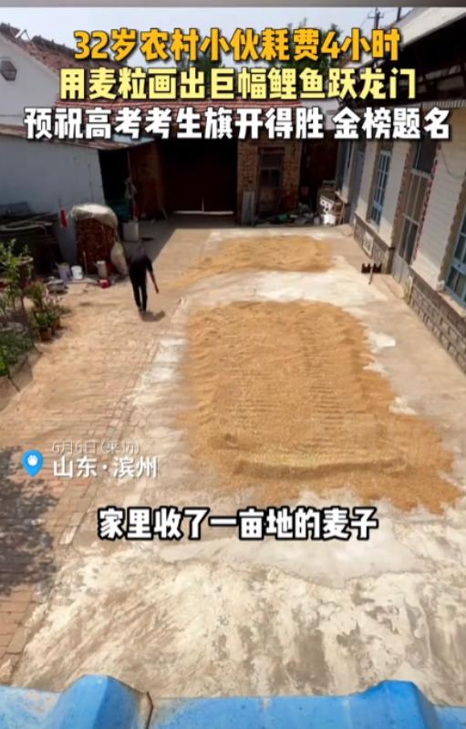 6月6日，山东滨州一农户将家里一亩多麦子收了以后，看着院子里的麦子，32岁小伙子