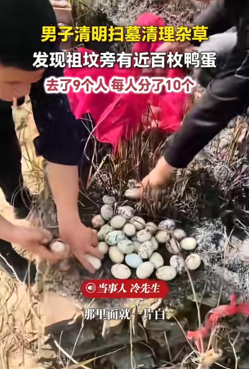 “天上掉馅饼了！”近日，江西九江，一男子和亲戚回老家扫墓，见祖坟周围都是杂草，便