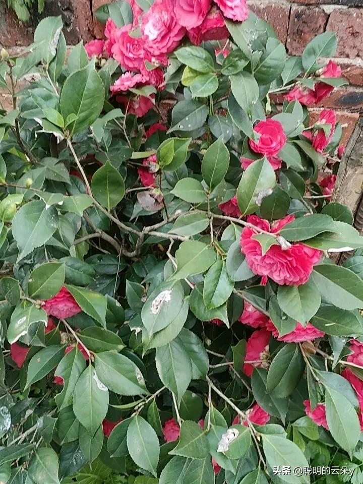 女人如何依靠男人,又保持独立?女人最好的状态：依靠不依赖，独立不孤立
 
真正聪