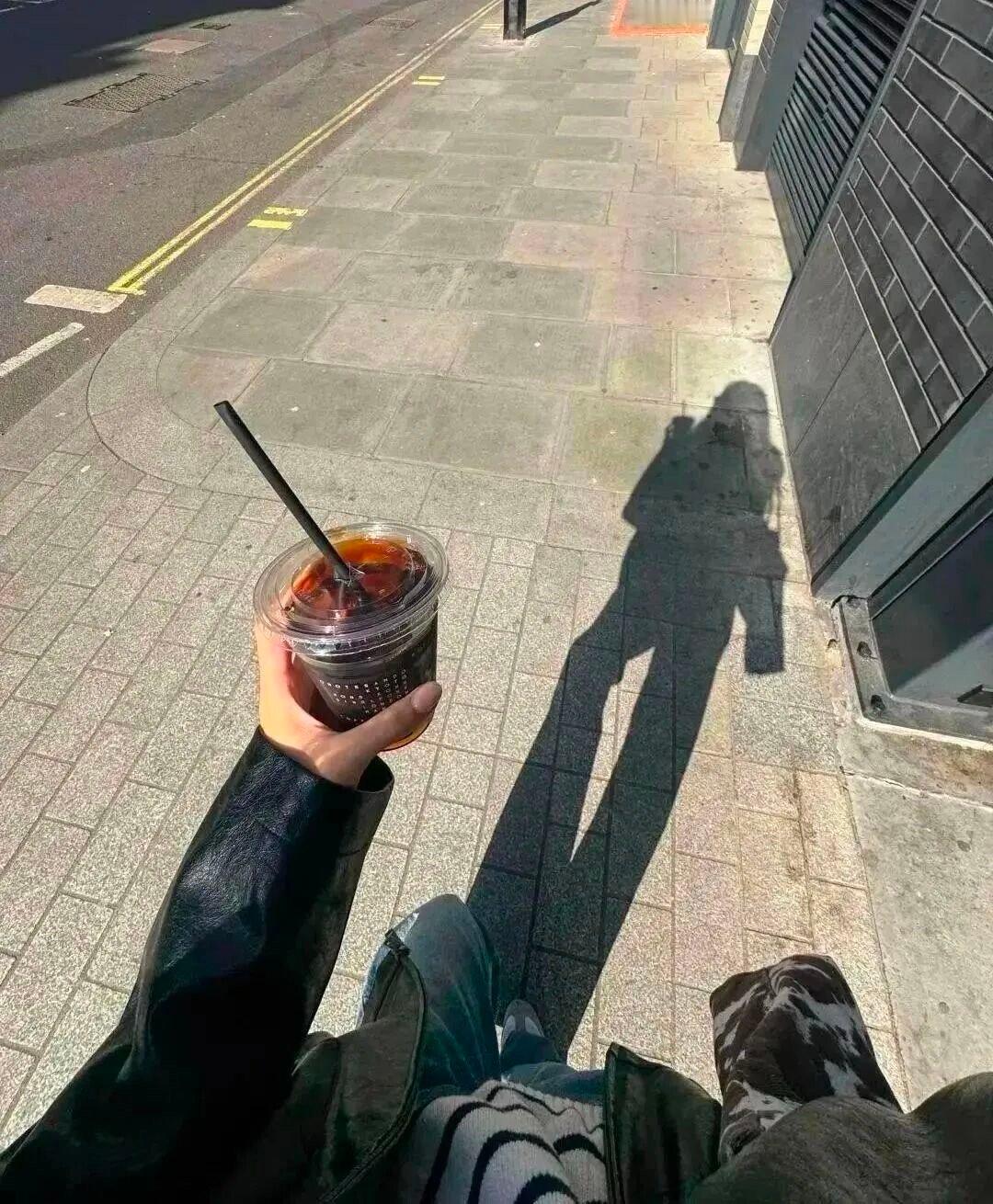 🌇🌳｜日落 黄昏