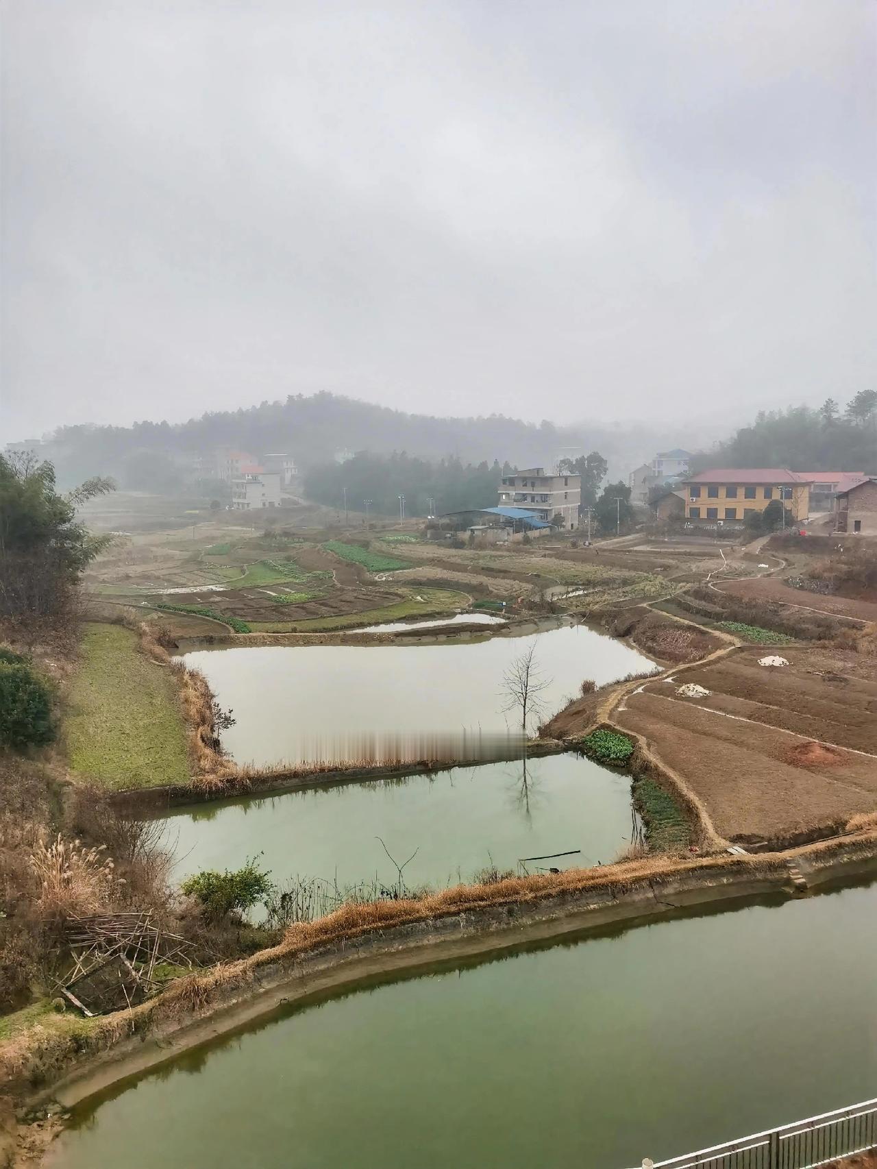 春天的第一场细雨如约而至，雨濛濛的天空，绵绵的细雨，晶莹透亮，一头逐入干涸的大地