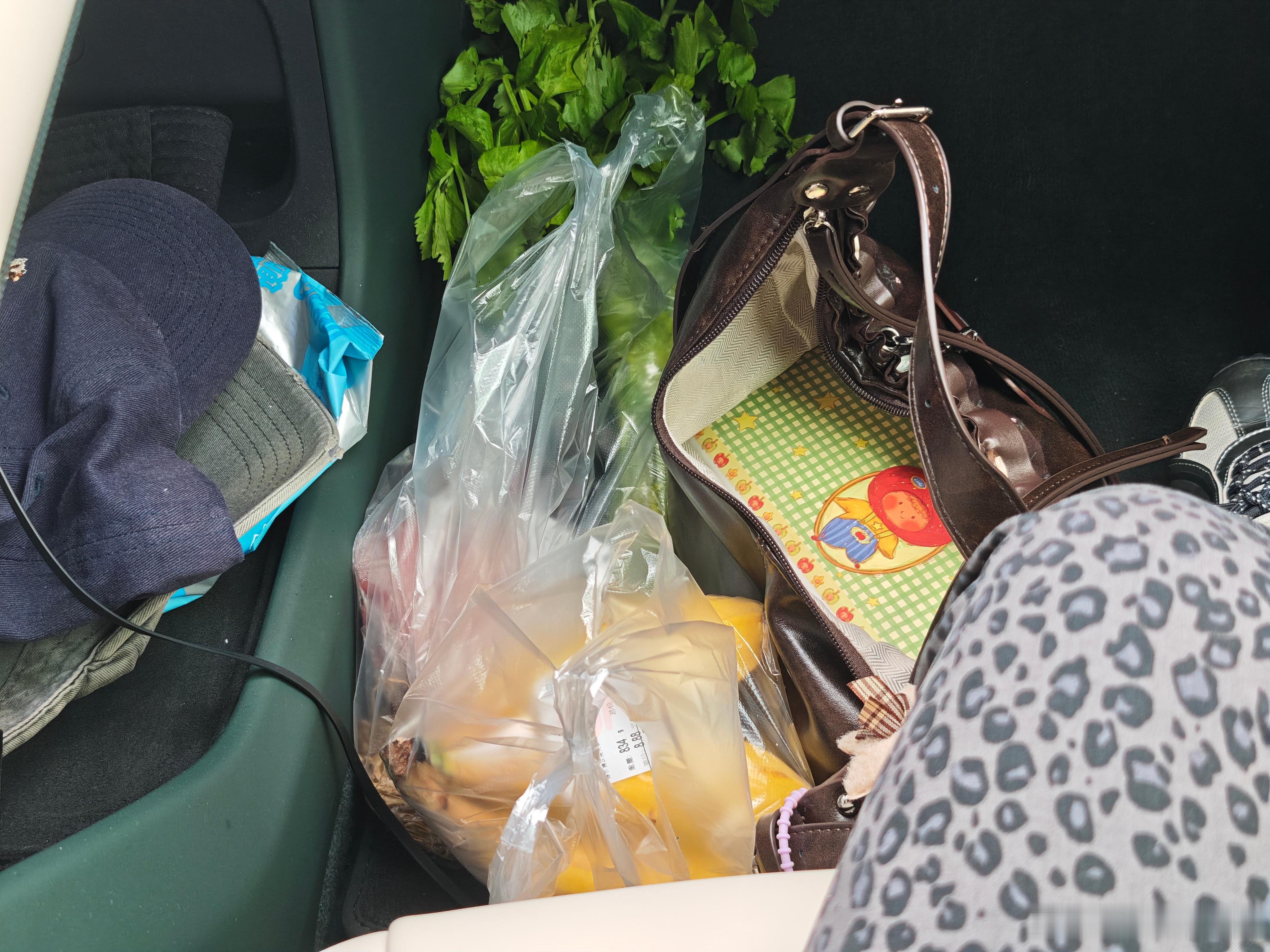 买菜车，开干了不过按照我的尿性，还能再买两天菜再充电！小米汽车