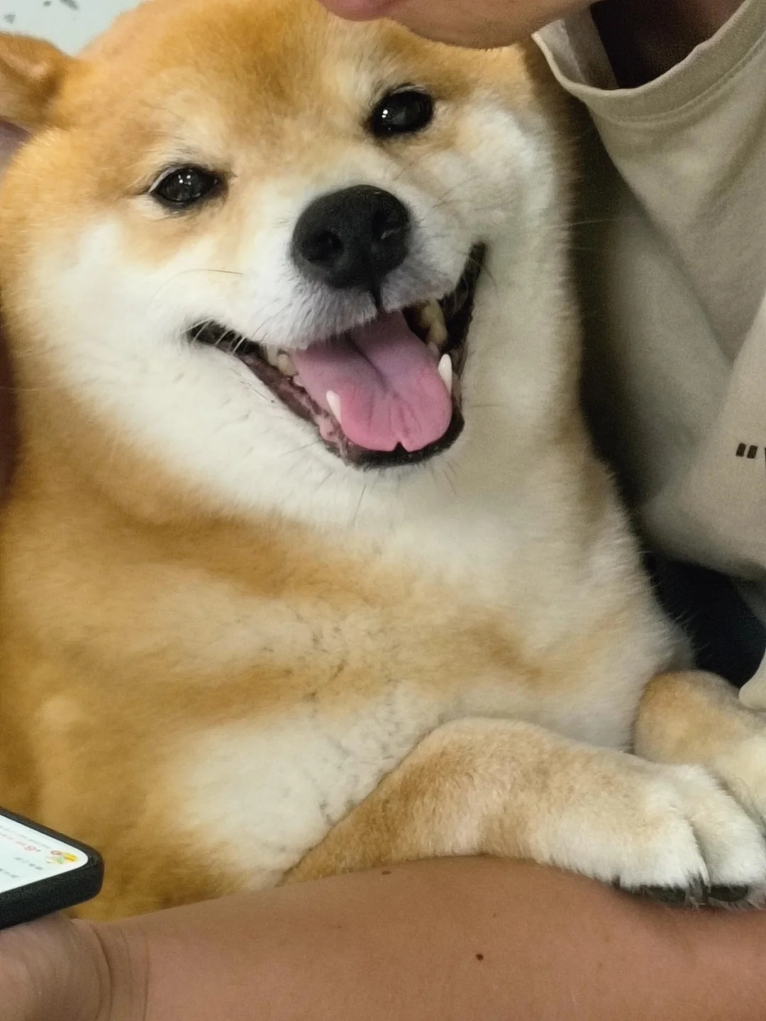 这个脸我想亲它100次！！！！