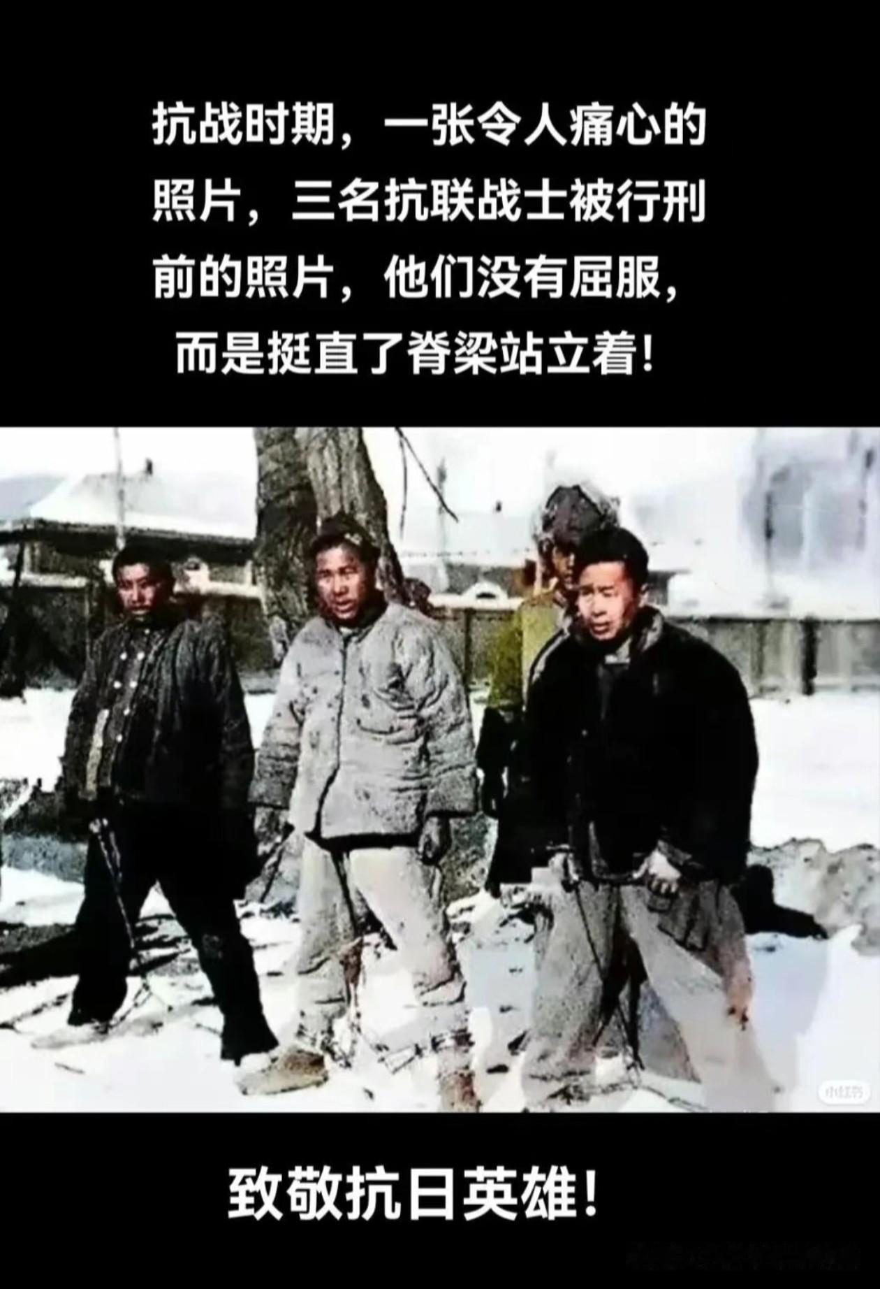 📜 照片背后的历史真相
 
这张广为流传的“三名抗联战士就义前留影”，经史料考