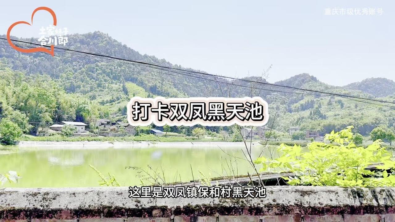 这里是合川区双凤镇保合村黑天池，一池静水映着乡村田园，满是宁静与美好。
1️⃣现