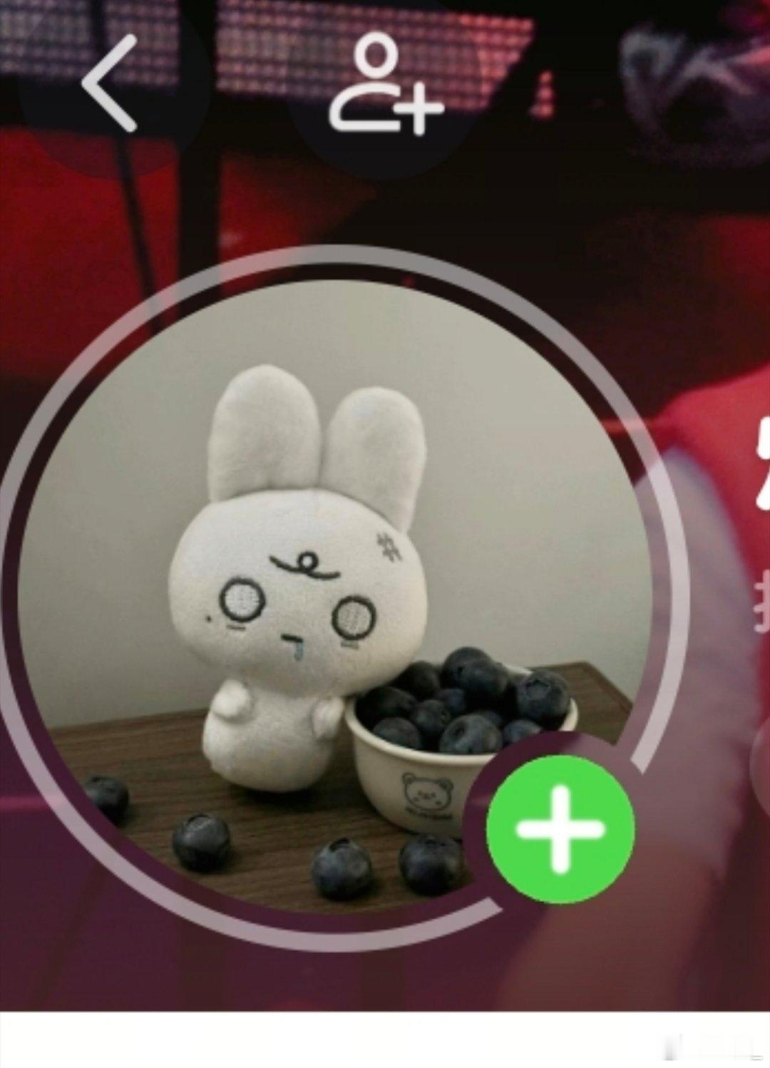此兔子适配头像程度： 