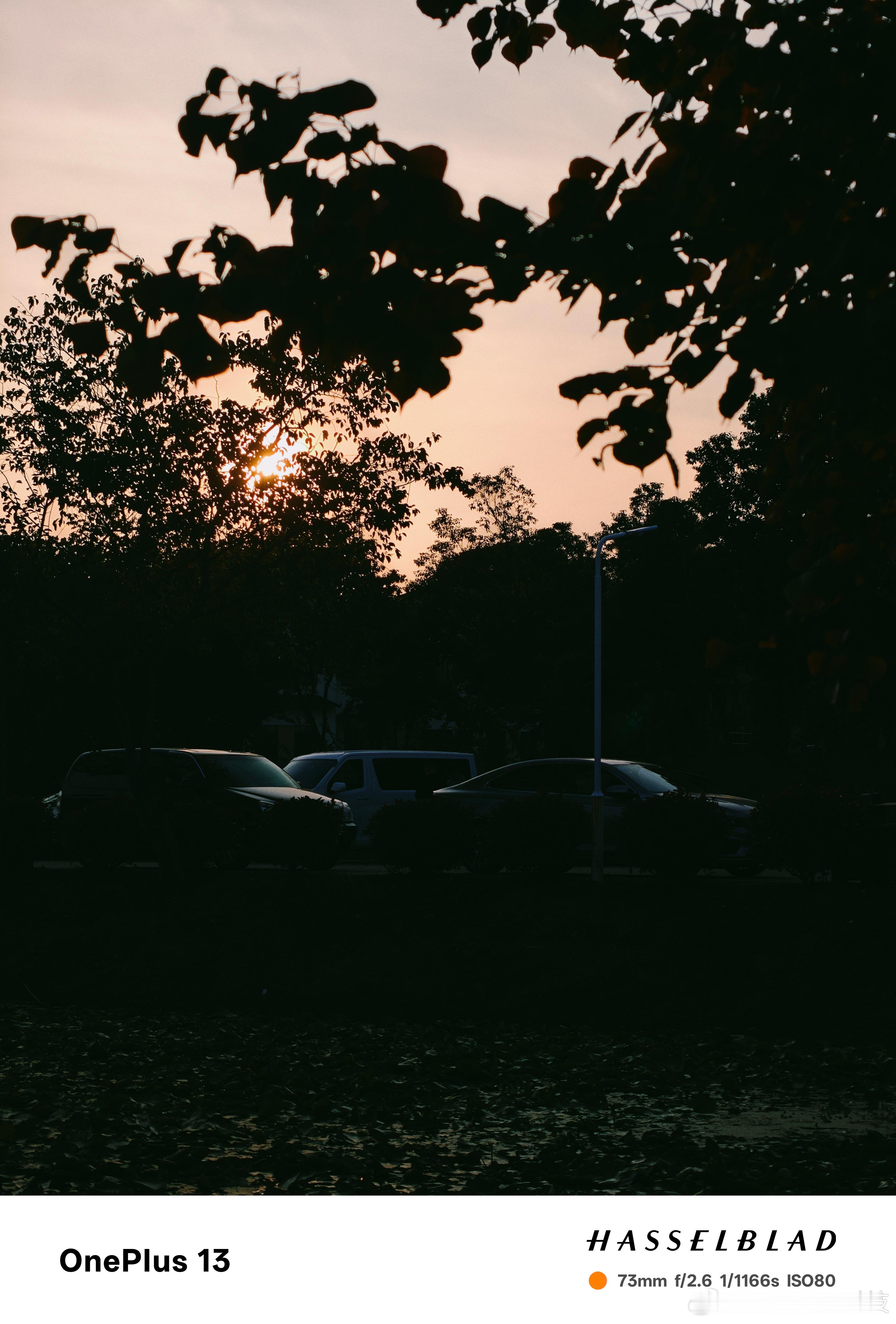 一加13的夕阳余晖模式，随手拍，也许这个价位段今年真的没对手吧[污] ​​​