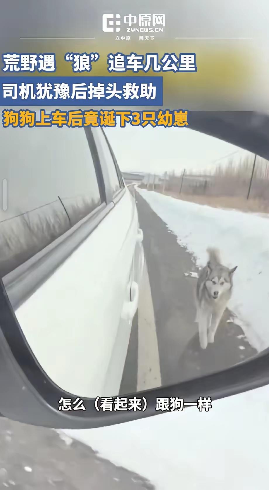 “泪目了”！3月3日，黑龙江嫩江，天气还很冷，侯女士开车走在从嫩江去黑河的路上，